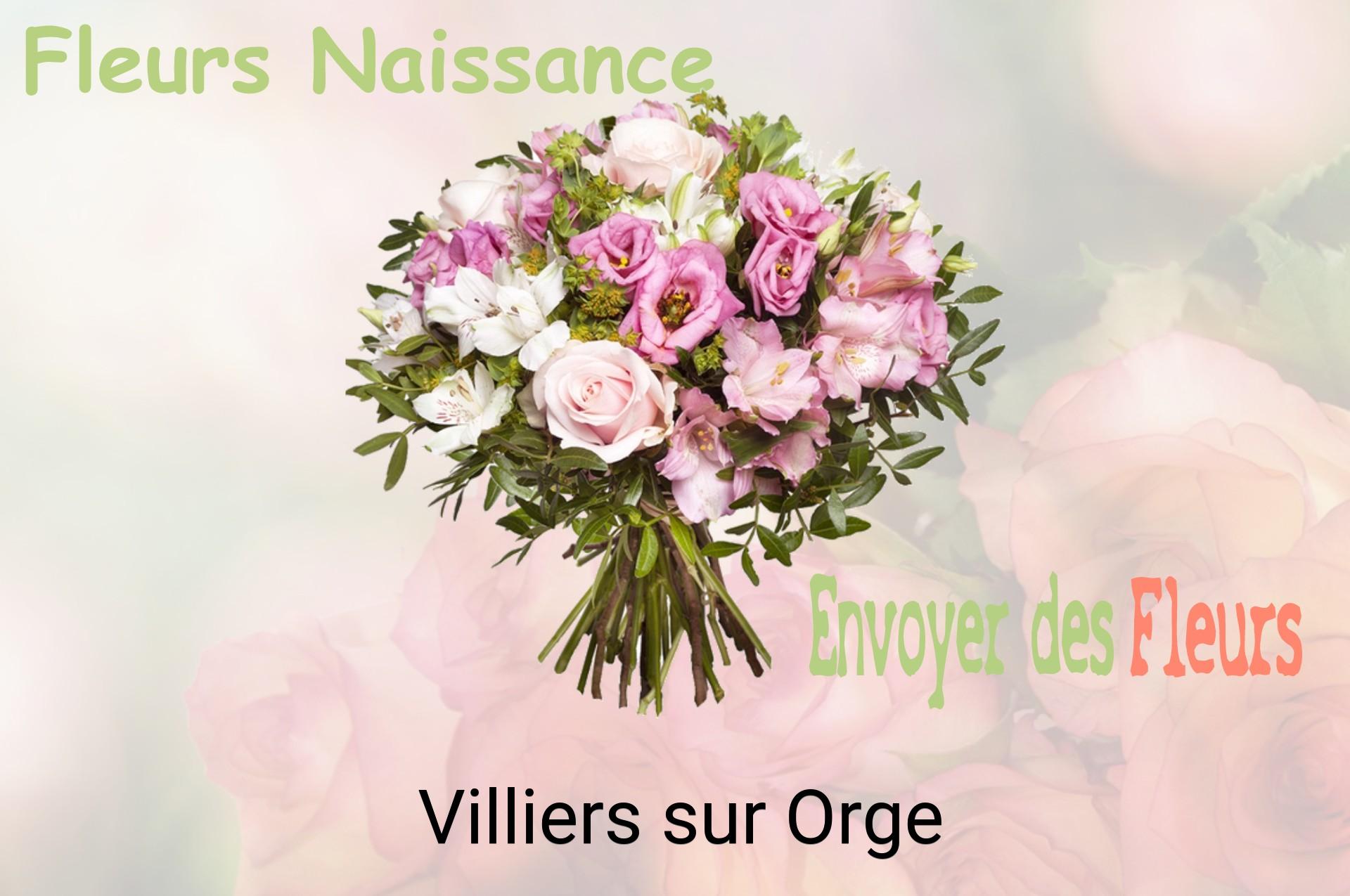 Bouquet de fleurs de naissance livré à Villiers-sur-Orge